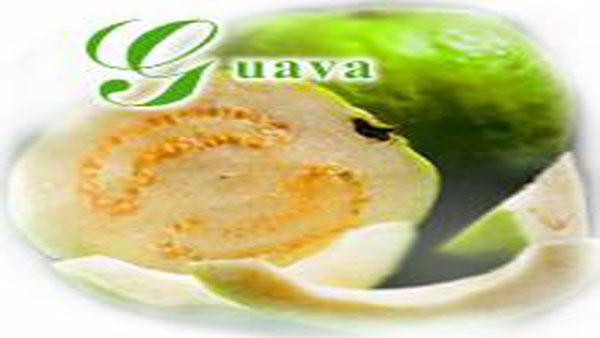 Guava