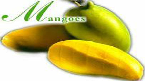Mango