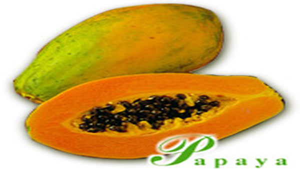 Papaya