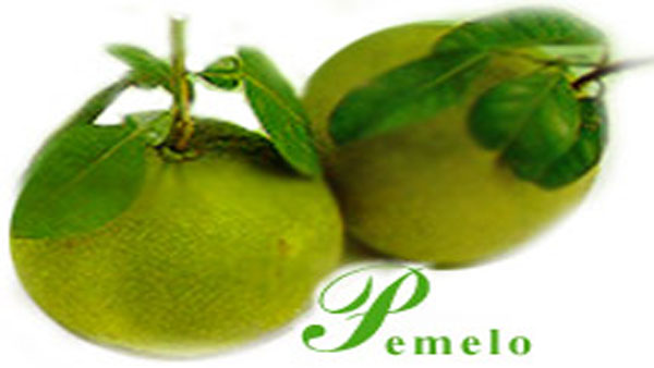 Pemelo