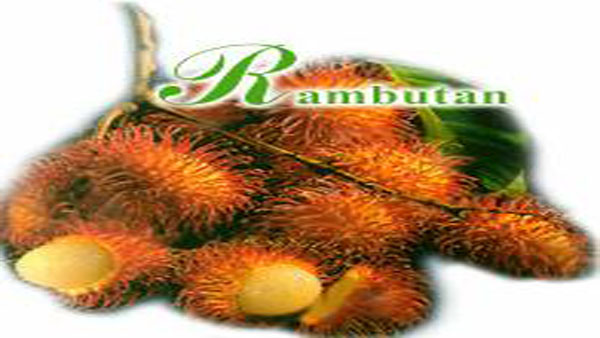 Rambutan