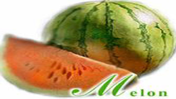 Water melon